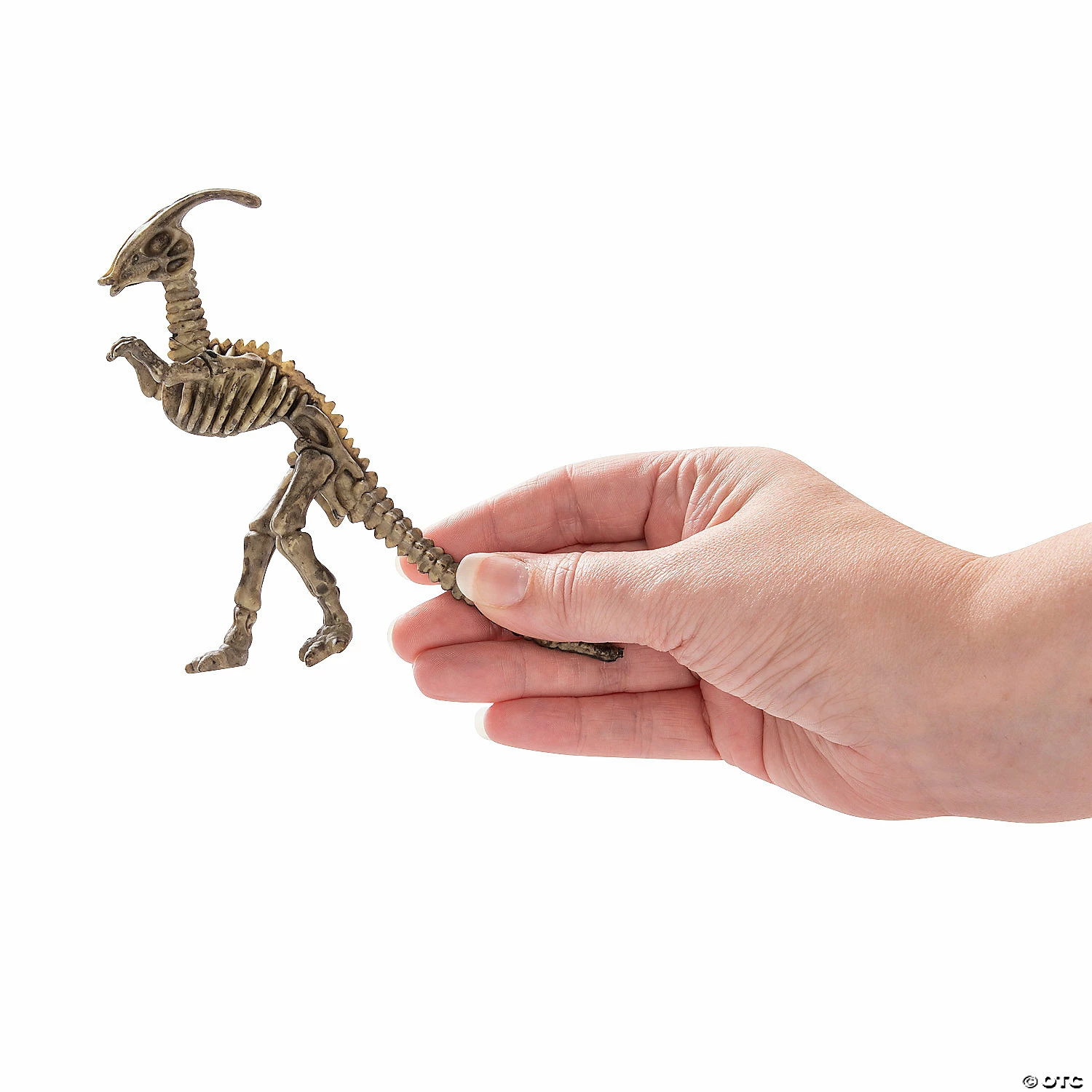 Best deal π₯ Dino-Mite Dinosaur Skeletons - 12 Pc. π 2 Best deal π₯ Dino-Mite Dinosaur Skeletons - 12 Pc. π - Image 2
