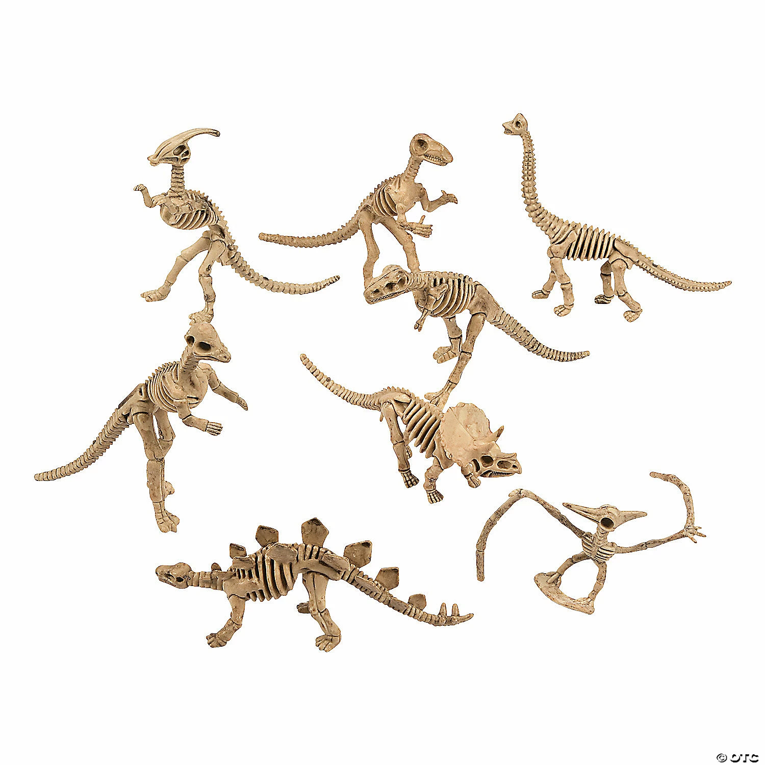 Best deal π₯ Dino-Mite Dinosaur Skeletons - 12 Pc. π 4 Best deal π₯ Dino-Mite Dinosaur Skeletons - 12 Pc. π - Image 4
